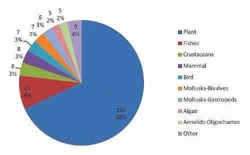 <p>Tüm türlerin yaklaşık olarak sadece %14'ü tanımlanabilmiştir.</p>
<p> </p>