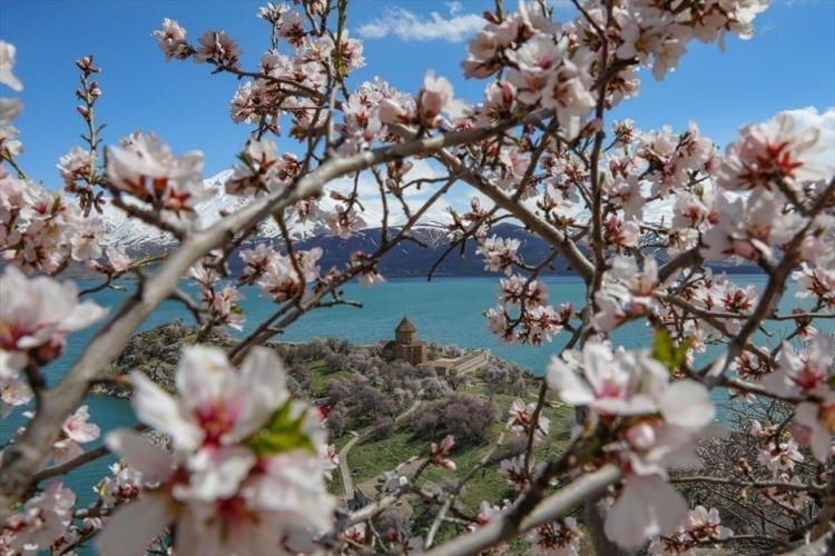 <p>Her yıl nisan ve mayısta açmaya başlayan çiçeklerle seyrine doyum olmayan bir görünüme bürünen adanın, gölün maviliği ve karlı Artos Dağı ile bütünleşmesi de güzel görüntüler oluşturuyor.</p>
