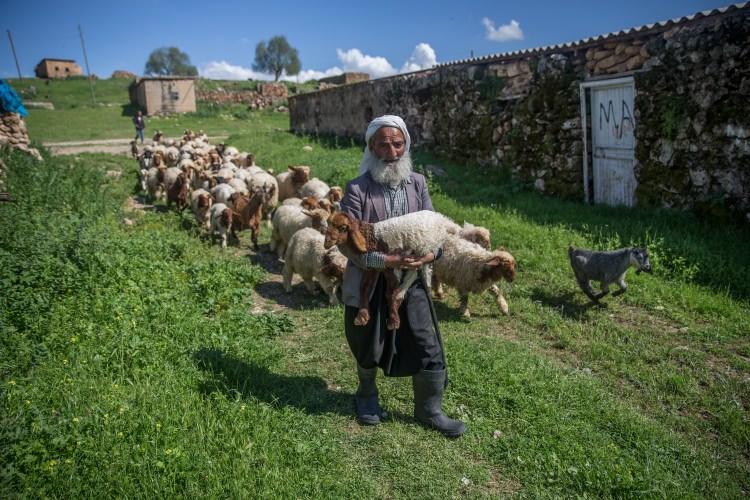 <p>&Ccedil;obanlardan Seyfettin Yıldırım ise ilkbahar ve yaz aylarında aylıklarının 4-5 bin lira arasında değiştiğini ifade ederek, başka bir işle uğraşmadığı i&ccedil;in bu mesleği tercih ettiğini dile getirdi.</p>
