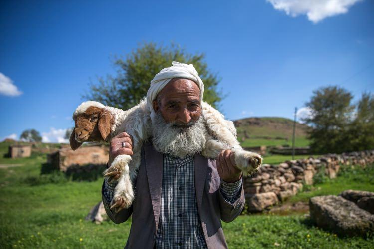 <p>Bu rakamlar &uuml;reticiyi zorlasa da hayvanların bakımı i&ccedil;in bunu vermek durumunda kalıyor. Hatta bu rakamlara bile &ccedil;oban bulmakta sıkıntı yaşıyoruz."</p>
