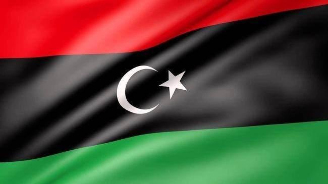 <p>Libya</p>

<p>Toplam donanma varlığı: 5</p>

<p>Uçak gemisi: 0</p>

<p>Fırkateyn: 1</p>

<p>Destroyer: 0</p>

<p>Korvet: 1</p>

<p>Denizaltı: 0</p>

<p>Devriye gemisi: 0</p>

<p>Mayın gemisi: 5</p>
