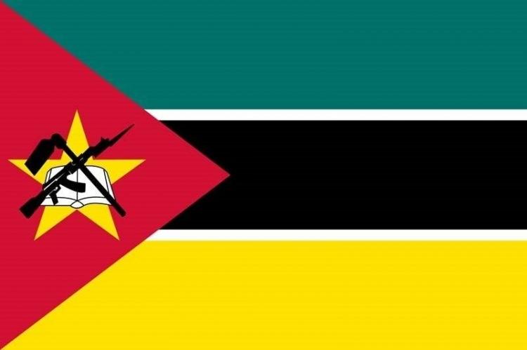 <p>Mozambik</p>
<p>Toplam donanma varlığı: 8</p>
<p>Uçak gemisi: 0</p>
<p>Fırkateyn: 0</p>
<p>Destroyer: 0</p>
<p>Korvet: 0</p>
<p>Denizaltı: 0</p>
<p>Devriye gemisi: 6</p>
<p>Mayın gemisi: 0</p>