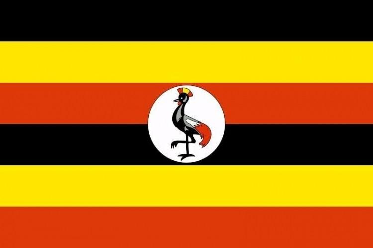 <p>Uganda</p>
<p> </p>
<p>Toplam donanma varlığı: 8</p>
<p>Uçak gemisi: 0</p>
<p>Fırkateyn: 0</p>
<p>Destroyer: 0</p>
<p>Korvet: 0</p>
<p>Denizaltı: 0</p>
<p>Devriye gemisi: 8</p>
<p>Mayın gemisi: 0</p>