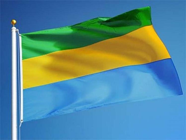 <p>Gabon</p>
<p>Toplam donanma varlığı: 10</p>
<p>Uçak gemisi: 0</p>
<p>Fırkateyn: 0</p>
<p>Destroyer: 0</p>
<p>Korvet: 0</p>
<p>Denizaltı: 0</p>
<p>Devriye gemisi: 3</p>
<p>Mayın gemisi: 0</p>