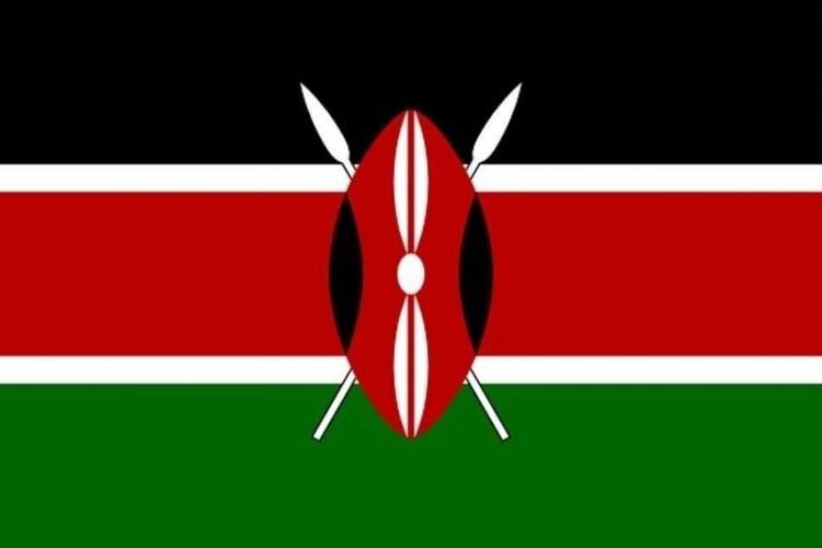 <p>Kenya</p>
<p> </p>
<p>Toplam donanma varlığı: 19</p>
<p> </p>
<p>Uçak gemisi: 0</p>
<p> </p>
<p>Fırkateyn: 0</p>
<p> </p>
<p>Destroyer: 0</p>
<p> </p>
<p>Korvet: 0</p>
<p> </p>
<p>Denizaltı: 0</p>
<p> </p>
<p>Devriye gemisi: 6</p>
<p> </p>
<p>Mayın gemisi: 0</p>