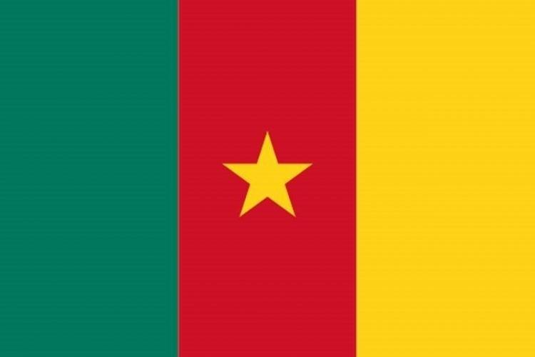<p>Kamerun</p>
<p> </p>
<p>Toplam donanma varlığı: 64</p>
<p>Uçak gemisi: 0</p>
<p>Fırkateyn: 0</p>
<p>Destroyer: 0</p>
<p>Korvet: 0</p>
<p>Denizaltı: 0</p>
<p>Devriye gemisi: 9</p>
<p>Mayın gemisi: 0</p>