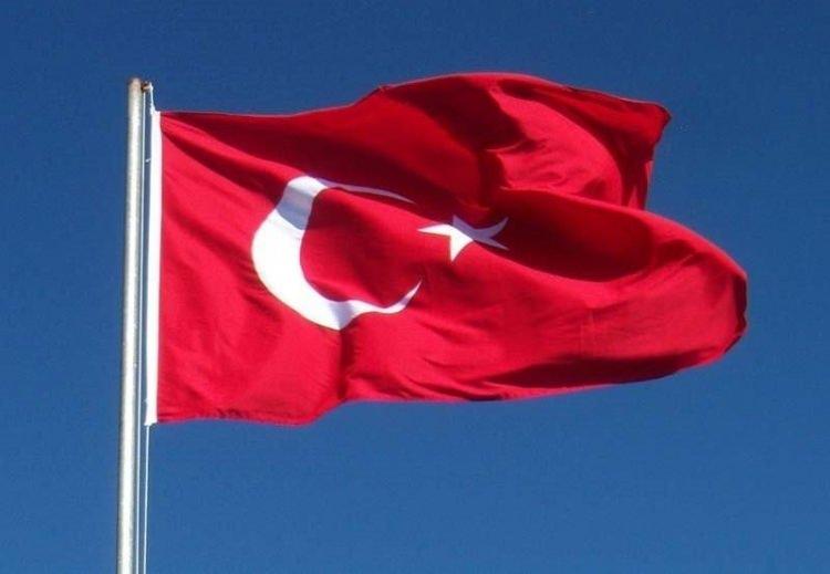 <p>Türkiye</p>

<p> </p>

<p>Toplam donanma varlığı: 194</p>

<p>Uçak gemisi: 0</p>

<p>Fırkateyn: 16</p>

<p>Destroyer: 0</p>

<p>Korvet: 9</p>

<p>Denizaltı: 12</p>

<p>Devriye gemisi: 34</p>

<p>Mayın gemisi: 11</p>
