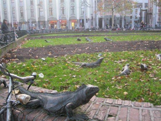 <p>İguana Parkı - Amsterdam / Hollanda</p>

<p>&nbsp;</p>
