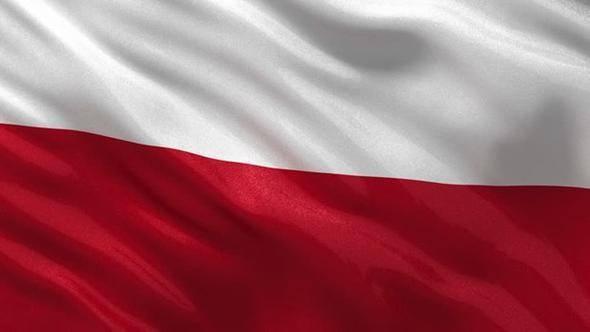 <div>Polonya (Ortalama internet hızı 10.6 Mbps)</div>

<div>&nbsp;</div>
