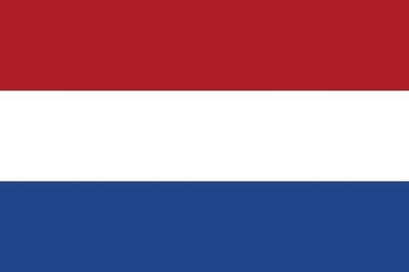 <div>Hollanda (Ortalama internet hızı 17.3 Mbps)</div>

<div>&nbsp;</div>
