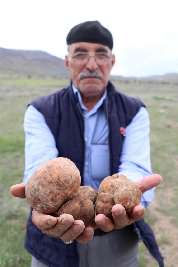 <p>Kumi sezonunda ellerinde çomaklar ile gruplar halinde mantar toplamaya çıkan yöre sakinleri, topladıkları mantarların bir kısmını evde tüketiyor, ihtiyaç fazlasını ise gelir amaçlı semt pazarlarında kilogramını 90-100 lira arasında değişen fiyatla satıyor.</p>
<p> </p>