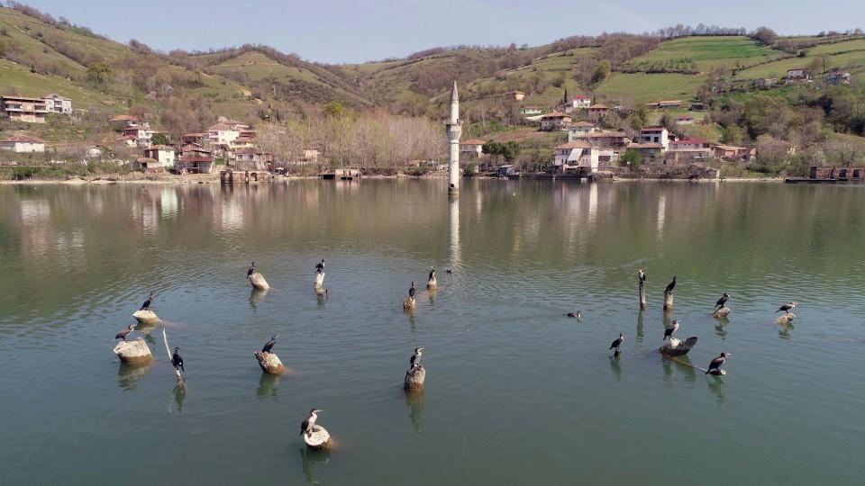 <p>Samsun'un doğal ve tarihi güzelliklerini işleyerek ön plana çıkardıklarına işaret eden Genç, "Kızılırmak Deltası bünyesinde deniz, göl, nehir, bataklık, sazlık, orman, kumul, çayır, mera ve tarım alanı habitatlarını bir arada barındırıyor. Flora ve faunası, barındırdığı canlılar, iklimin uygun olması biyoçeşitliliği zenginleştirmekte. Deltanın varlığı, hem yerli hem de yabancılara yönelik turizm aktivitelerinin artmasına büyük katkı sağlıyor." diye konuştu.</p>
<p> </p>