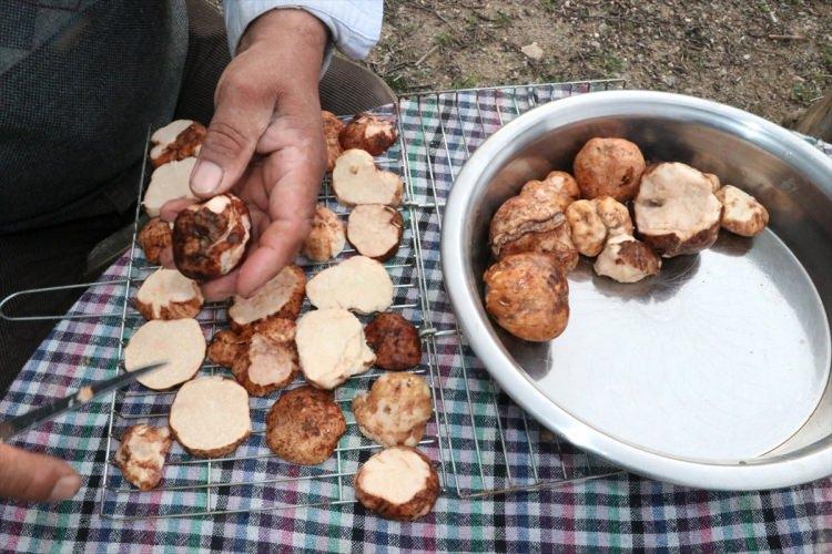 <p>İlçeye bağlı Harabakayış köyü sakinlerinden Zihni Şen, AA muhabirine yaptığı açıklamada, yağışların bol olduğu yıllarda nisan ayıyla birlikte görülmeye başlayan kumi mantarının lezzetinden dolayı baharda sofralarının vazgeçilmez lezzeti olduğunu belirtti.</p>
<p> </p>