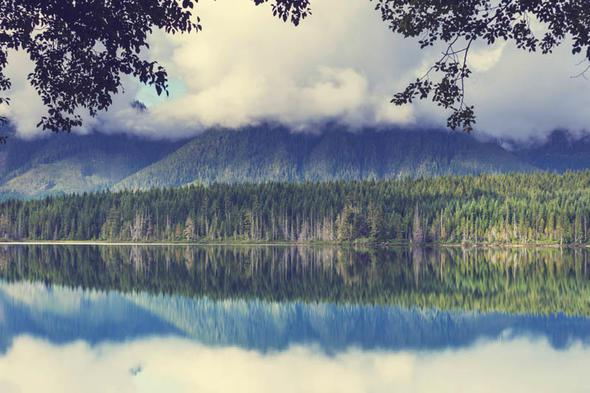 <p>VANCOUVER ADASI, KANADA</p>

<p> </p>
