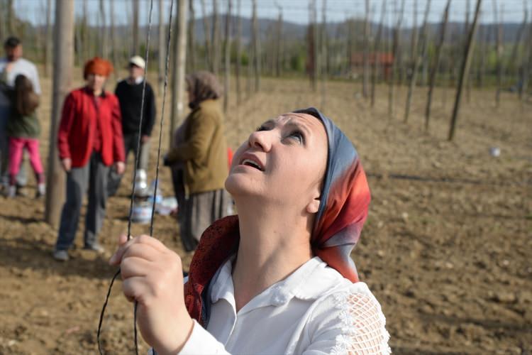 <p>Bilecik'in Pazaryeri ilçesinde bağımsız olarak belediye başkanı seçilen Zekiye Tekin, bölge insanının tarımdan aldığı payı artırmak için onları teşvik etmek ve ilçenin ürünlerini tanıtmak amacıyla mesaisi dışındaki zamanının bir bölümünü şalvar giyip tarlada çalışarak geçiriyor.</p>