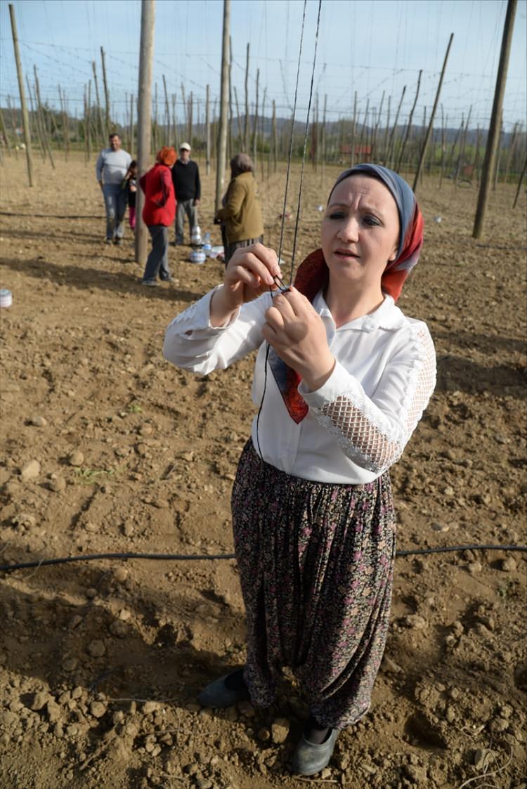 <p>Tekin, şalvar giyip tarlaya çalışmaya gitmeyi, çiftçiliği çok sevdiğini vurguladı. En iyi yaptığı işlerden birinin belediyecilik, diğerinin çiftçilik olduğunu söyleyen Tekin, "Orak da biçerim, burçak da yolarım, hasat mevsimlerinde ürün de toplarım. Elle toplamak çok zevklidir. En güzel kısmı da yorgunluktan sonra o günün terini sıcak bir çay içerek atıyorsunuz. Böyle gidecek Allah nasip ederse, hep aynı olacağım." dedi.</p>
<p> </p>