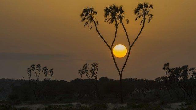 <p>SAMBURU, KENYA</p>
<p>Kenya'nın kalbi durumundaki bölge, Afrika'nın en bilinen vahşi yaşam alanlarından birine ev sahipliği yapıyor. Zürafa, zebra ve fil gibi hayvanlar bölgenin en ünlü sakinleri arasında.</p>
