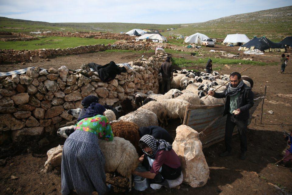 <p>Kış aylarında daha ılık olan Şanlıurfa'daki ovalarda yaşayan g&ouml;&ccedil;erler, havaların ısınmasıyla yaz aylarını, hayvanları i&ccedil;in daha serin olan Karacadağ b&ouml;lgesi ile Doğu Anadolu B&ouml;lgesi'nde kiraladıkları yaylalarda ge&ccedil;irmeyi tercih ediyor.&nbsp;</p>

<p>&nbsp;</p>
