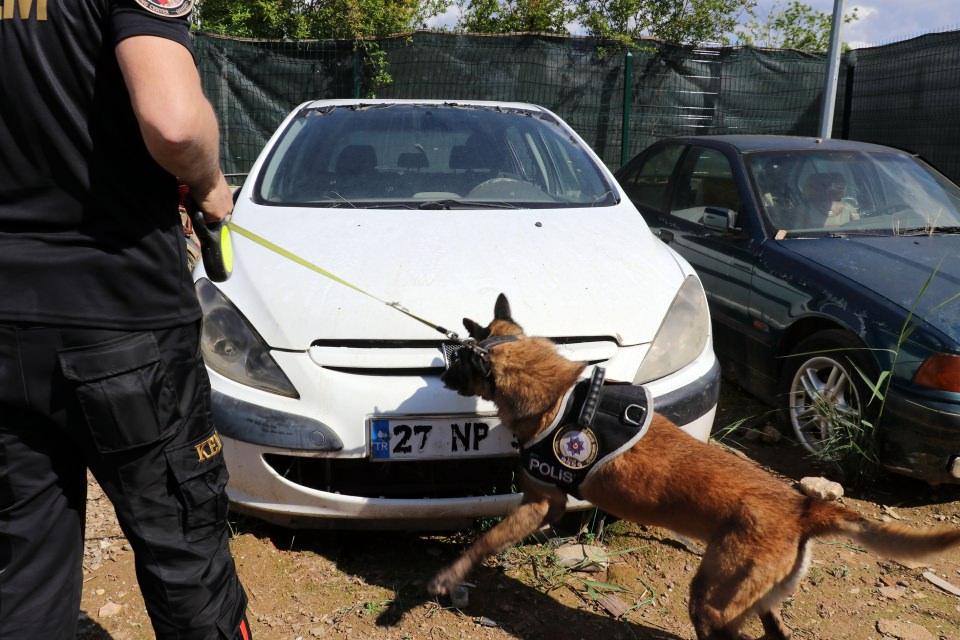 <p>Köpekleri eğitirken çeşitli testlere tabi tuttuklarına dikkati çeken Bayram,  "Yıldırım'ın Çayra'nın yerini alması için uzun bir süreç gerekiyor. </p>

<p> </p>
