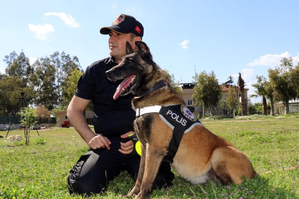 <p>Çayra'nın enerjisiyle herkesi şaşırttığını vurgulayan Kurt, "Çayra, Türkiye'deki en yaşlı narkotik köpeklerden biri. Normalde bu tip köpekler 8-10 yaşına geldiğinde emekli oluyor, emniyet kaydından düşürülüyor ancak Çayra hala görevine devam ediyor. Ekiplerimizin 1-2 saatte yapacağı aramayı Çayra 10 dakikada tamamlıyor." diye konuştu. </p>
<p> </p>
