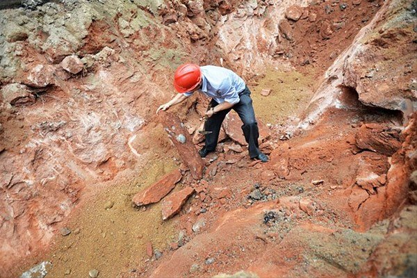 <p>Çin'in güneyindeki Guangdong eyaletinde bulunan Heyuan kentinde 43 dinozor yumurtası bulundu. </p>
