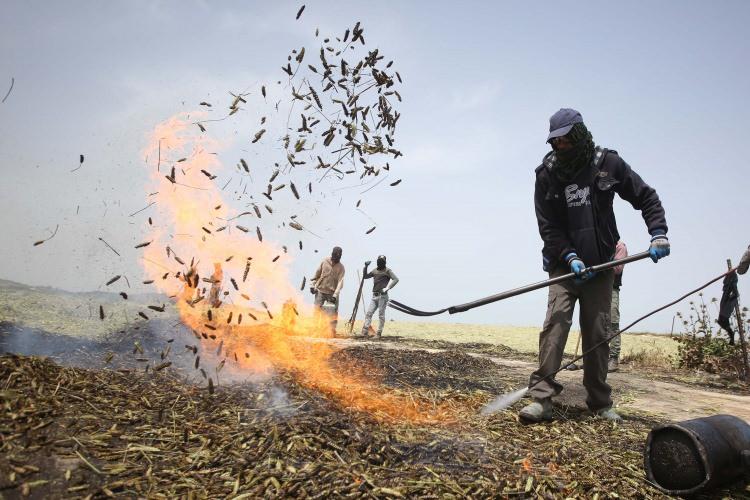 <p>Ailesinin firik ve zeytin yağı üretimi ile uğraştığını söyleyen Süleyman, babasının yıllık yaklaşık 500 ton firik ürettiğini kaydetti. </p>

<p> </p>
