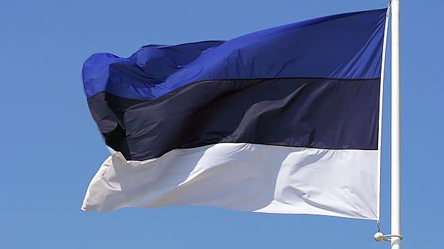 <p> Estonya- Guaido</p>

