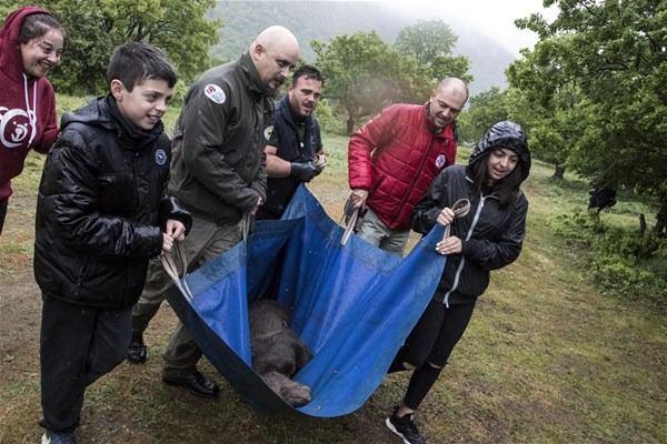 <p>Kafeslerini açtığımızda onlar koşmaya başladı, hayatta kalmaya başaracaklarını biliyoruz. Onların yeri doğa. Doğaya bırakıldıkları yer onlar için çok uygun.</p>

<p> </p>
