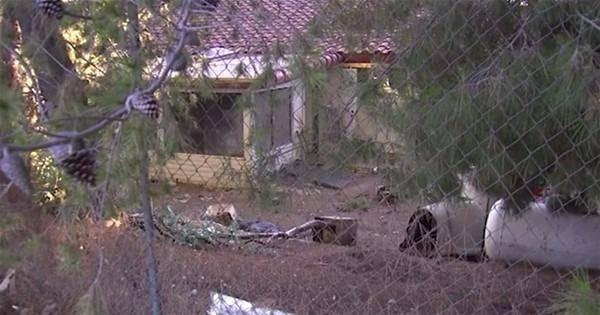 <p>Kaliforniya&rsquo;da komşularının evinde bir şeylerin ters gittiğini d&uuml;ş&uuml;nen mahalle sakinleri derhal polisi aradı.</p>

<p>&nbsp;</p>
