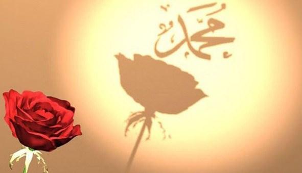 <p>Peygamber Efendimiz (sav) hayatı boyunca hep sosyal bir insan olmuştur. Özellikle Ramazan'da Peygamberimiz, hasta ve yaşlılara sıkça yaptığı ziyaretleri artırır, fakir sahabelerin evlerine uğrar, sosyal bir sıkıntı olan her yere tüm sahabelerden önce yetişerek problemlerin çözümünde aktif rol oynardı.</p>

<p> </p>
