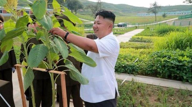 <p><strong>MİDE KÜÇÜLTME AMELİYATI OLDU </strong></p>

<p>Dedesi Kim Sang II'ye benzemek ve annesinden aldığı Japon hatlarından kurtulmak için estetik ameliyatlar geçirdiği düşünülen Kim Jong Un'un, saç modeli dünya genelinde büyük bir üne sahip. Salatasının bile mikroskopla incelendiği söylenen Kim Jong Un, aynı zamanda ete düşkünlüğüyle biliniyor..</p>
