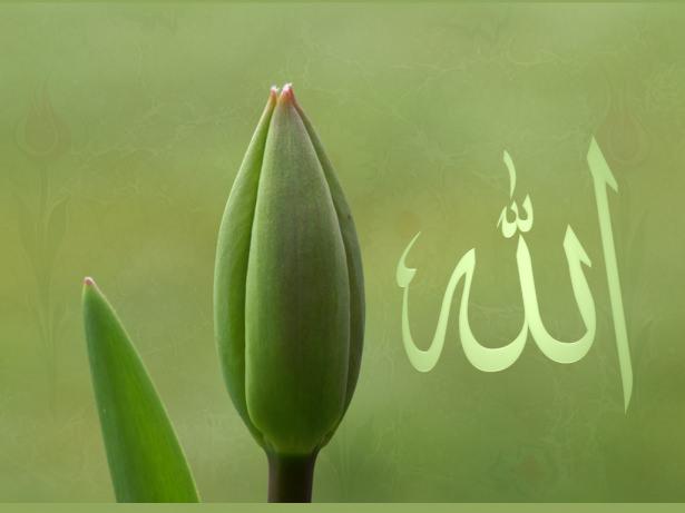 <p>Su içerken önce sağındakine ikram ederdi.</p>
<p> </p>