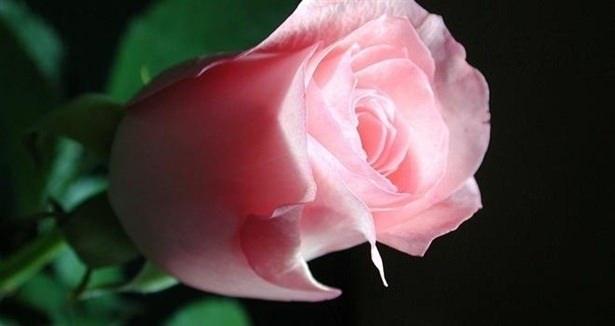 <p>&nbsp;Nazardan rahatsız olduğunda Kalem suresi 51 &ndash; 52. ayetlerin okunmasını isterdi.</p>

<p>&nbsp;</p>
