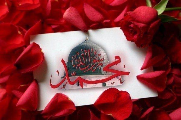 <p>Yemeğin buharı gitmeden yenilmesinden hoşlanmazdı.</p>

<p>&nbsp;</p>
