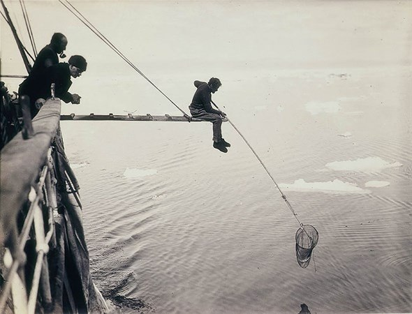 <p>Harold Hamilton mikro plankton avlarken, 1912</p>
