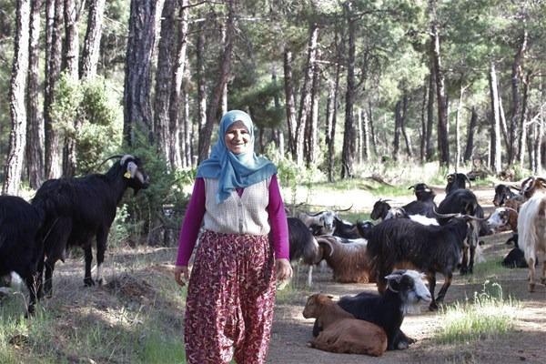 <p>3 ayda bir bulundukları merayı değiştiren çift gittikleri yere hemen kulübe yaparak teknolojiden ve insanlardan uzak bir hayat sürüyor. Taşkın çifti, keçilerini her gün sağıp sütlerini 10 kilometre uzaklıktaki köylerine eşekle götürüp sütçüye satıyor</p>

<p> </p>
