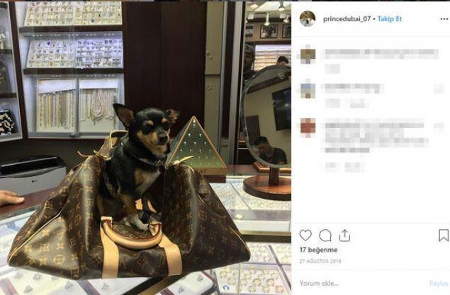 <p>Onlarca insan, yatırım yapacağı inancıyla sahte prensin banka hesaplarına para gönderdi. Gignac ise bunlarla yatırım yapmak yerine parayı tasarım kıyafetlere, yatlara ve özel jetlere harcadı.</p>
