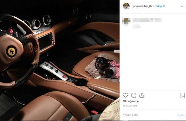 <p>Gignac'ın sahte kimliğiyle yarattığı lüks hayatı Mayıs 2017'de, Miami'de lüks bir otele yatırım yapmak istemesiyle çökmeye başladı.</p>
