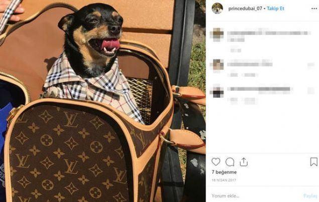 <p>Miami Herald'ın haberine göre otelin sahipleri, görüşmeler sürerken Gignac'ın sürekli olarak domuz eti ürünleri yemek istemesinden şüphelendi.</p>
