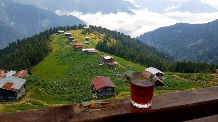 <p>Doğu Karadeniz'de yılın çoğunu bulutların üzerinde geçiren Rize'nin Çamlıhemşin ilçesindeki ünlü Pokut Yaylası bu yıl da tatilcilerin akınına uğruyor.</p>