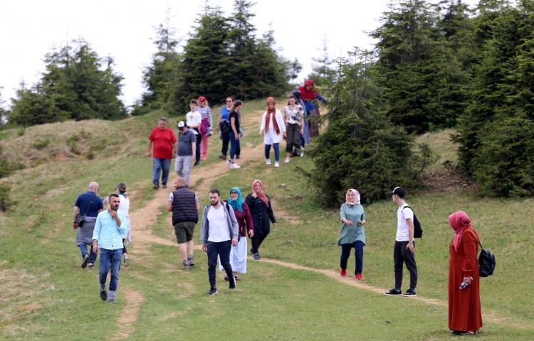 <p>Karadeniz Bölgesi'nde yüksek rakımlı dağların altında kalan bulutların üzerindeki yaylalar, ziyaretçilere görsel şölen sunuyor. </p>