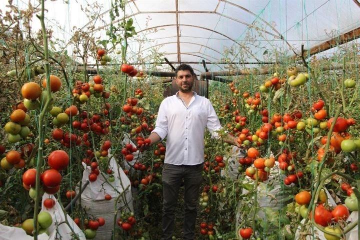 <p>Bir çuvalda 16 fidan var, 1,5 dönüme yakın alan üzerinde 600 tane çuvala dikim yaptık. Buradaki amacımız en yüksek verimi elde etmekti.</p>