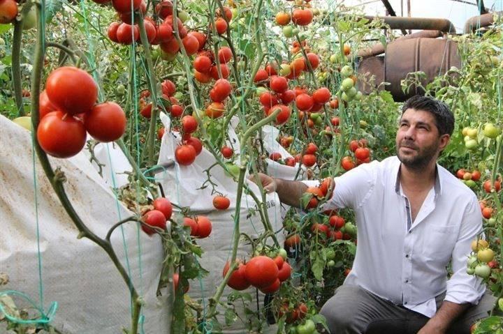 <p>Üretimde hiç tohum kullanmadıklarını belirten İnal, “Bu sene tamamen ARGE çalışmalarına ayırdık.</p>