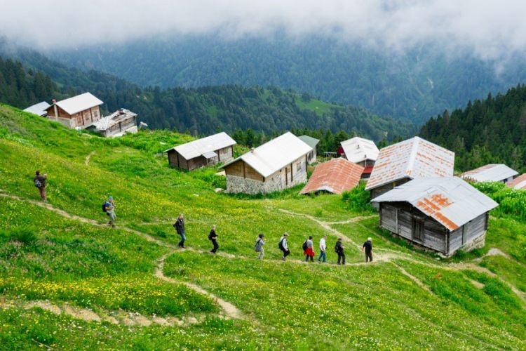 <p>Bu yaylalara çıkan yöre halkı ile yerli ve yabancı turistler de eşsiz manzaranın keyfini çıkarıyor</p>