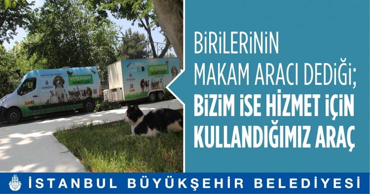 <p>17. Vetkabin</p>
