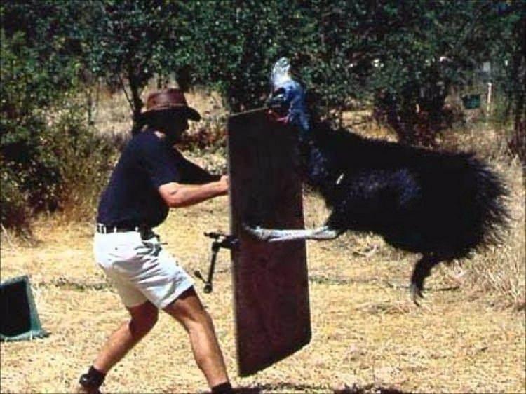 <p>Bazen arka bahçenizde dev bir pitonu dev bir yarasayı yutmaya çalışırken görebilirsiniz...</p>

<p> </p>
