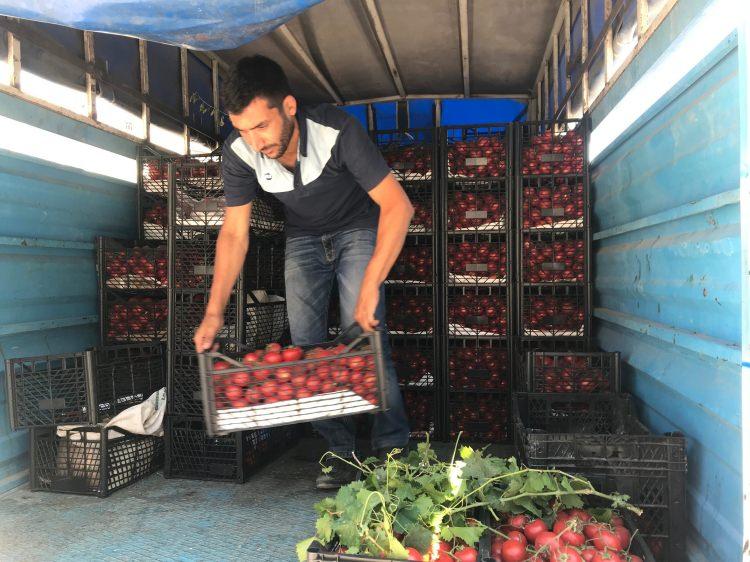 Fiyatı 25 TL'ye kadar çıkmıştı! Şimdi dibi gördü