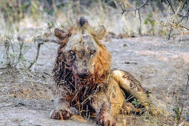 <p>İşte ölmeden önceki son görüntüsü...</p>
<p> </p>