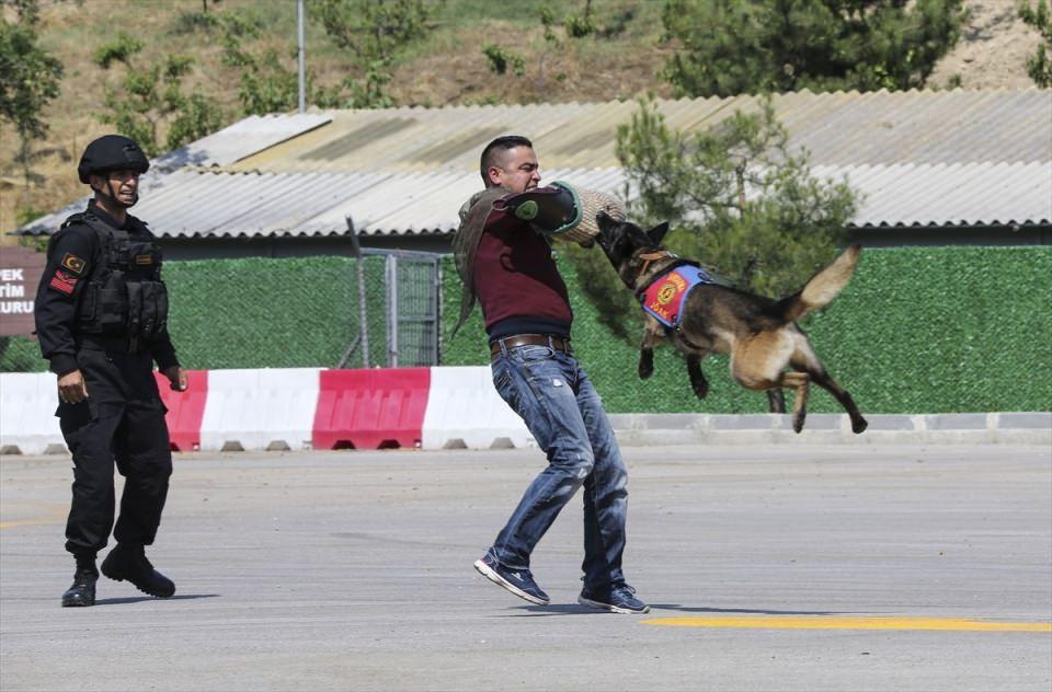 <p><strong> Toplumsal olaya müdahale gerçeği aratmadı</strong></p>

<p>Program kapsamında toplumsal eylem yapan bir gruba jandarma kuvvetinin müdahalesi canlandırıldı.</p>
