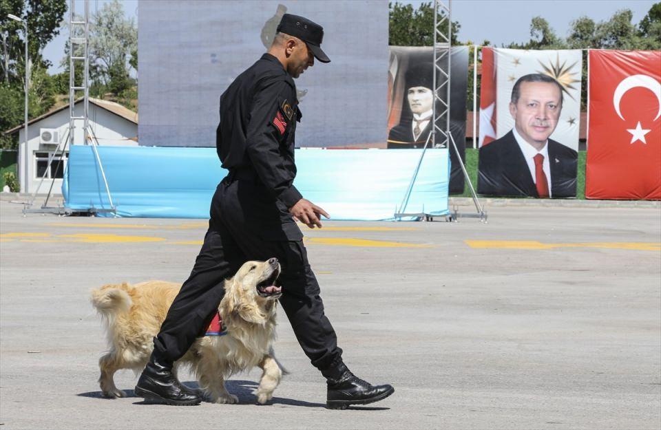 <p>Araçtan yapılan saldırıya köpekli timin müdahalesi ise izleyenlerin beğenisini topladı. </p>
<p> </p>